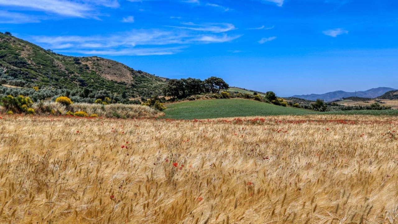 Almendros Antequera - Los Nogales By Ruralidays别墅 外观 照片